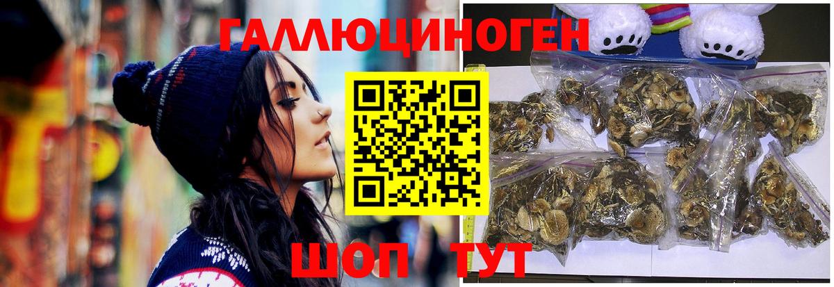 Галлюциногенные грибы GOLDEN TEACHER Коркино